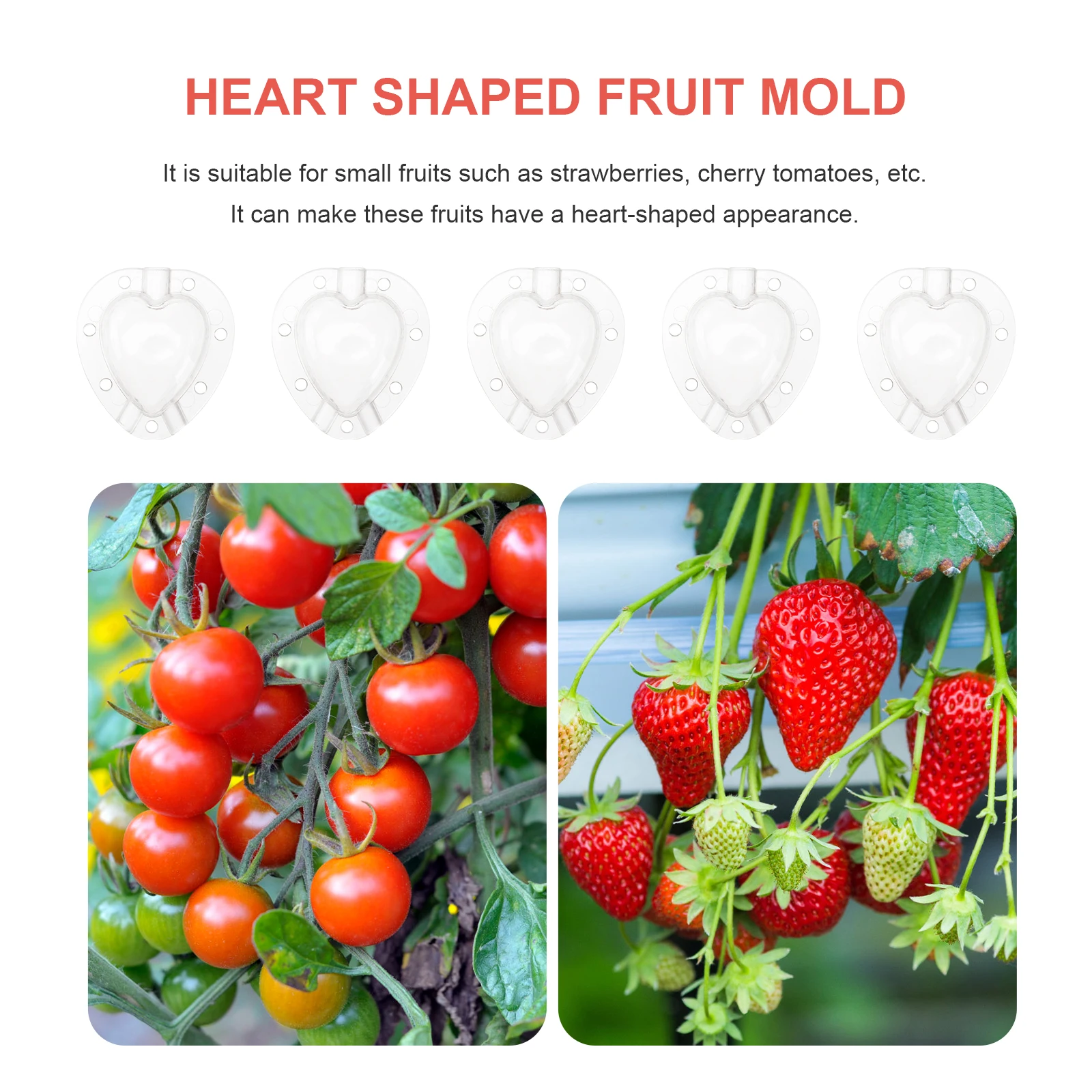 5pcs Heart Shaped Fruit Mold Transparent Garden Shaping Tool Vegetable Growth Forming Gardening Supplies
5pcs Heart Shaped Fruit Mold Transparent Garden Shaping Tool Vegetable Growth Forming Gardening Supplies