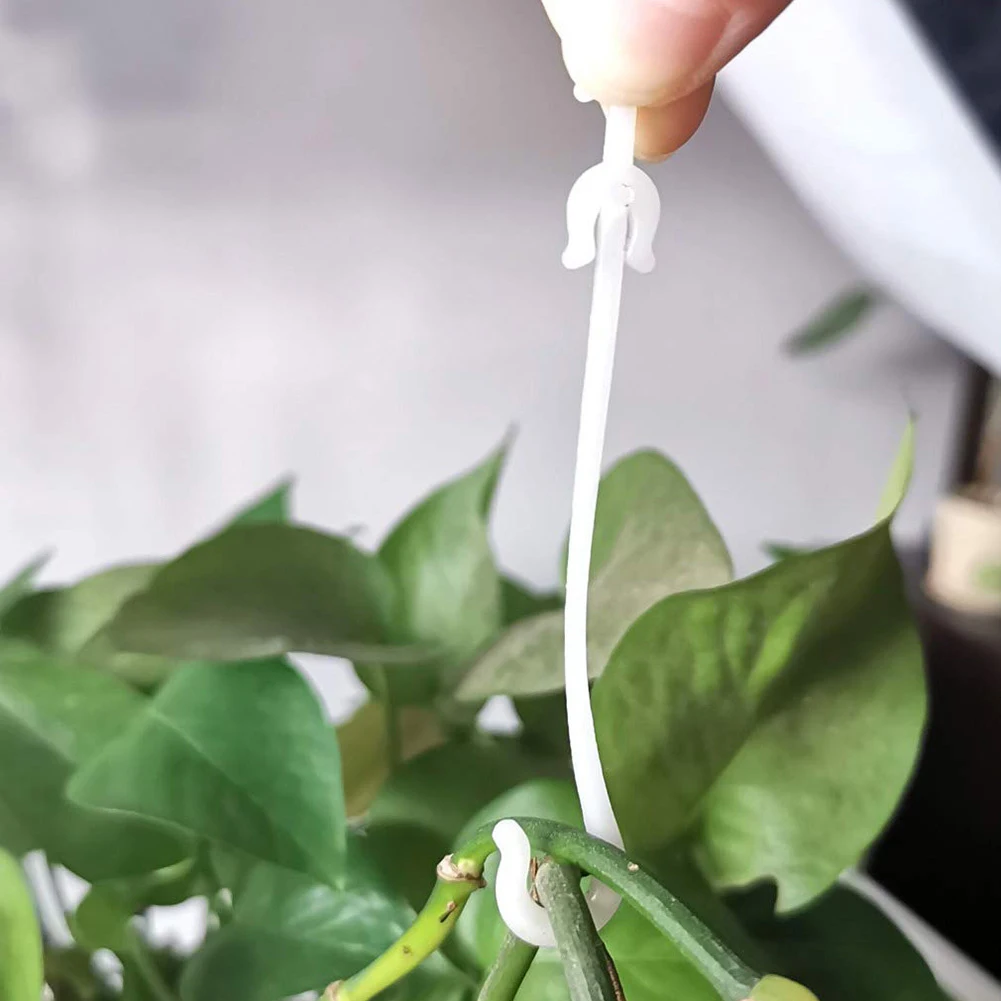 New Plant Ear Hook Plant Ear Hook Tomato Vegetable 100PCS Cherry Ear Hook Fixed Buckle Fixing Clips Fruit Garden
New Plant Ear Hook Plant Ear Hook Tomato Vegetable 100PCS Cherry Ear Hook Fixed Buckle Fixing Clips Fruit Garden