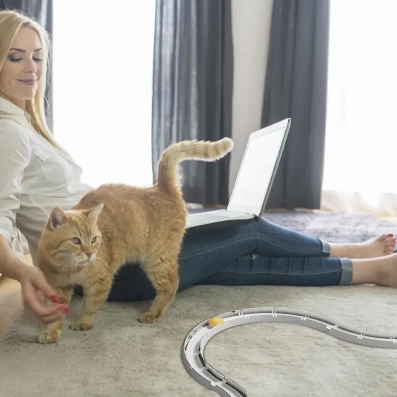 Cat Toy Ball Track Cat Ball Track Puzzle Toy Mental Physical Exercise Training Tool For Kitten Pet Supplies For All Breed Sizes
Cat Toy Ball Track Cat Ball Track Puzzle Toy Mental Physical Exercise Training Tool For Kitten Pet Supplies For All Breed Sizes