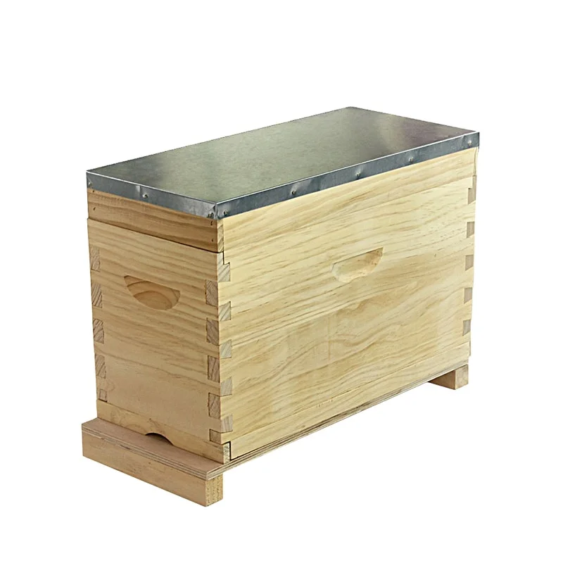 Beekeeping Manufacturers Wooden Nuc Box Dovetail Joint Metal Cover Beehive for Sale Queen Rearing Bee Breeding Hive
Beekeeping Manufacturers Wooden Nuc Box Dovetail Joint Metal Cover Beehive for Sale Queen Rearing Bee Breeding Hive