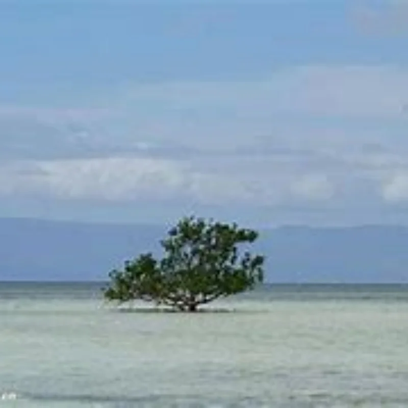 WLtoys 1/28 284131 k979 k989 k999 RC Car Metal Upgrade Gearbox, Modified Chassis Second Floor Steering Gear Seat and Other Parts 
WLtoys 1/28 284131 k979 k989 k999 RC Car Metal Upgrade Gearbox, Modified Chassis Second Floor Steering Gear Seat and Other Parts