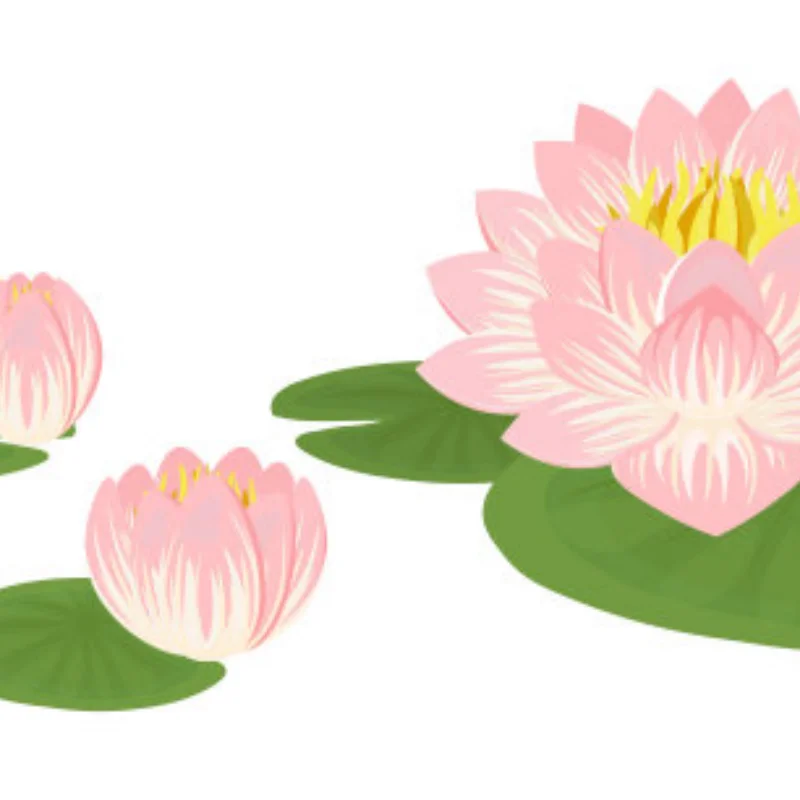 Metal Swing Arm Steering Cup Hub Carrier Shock Tower Set for HS 14321 14322 14421 14431 C8802 1/14 RC Car Upgrade Parts 
Metal Swing Arm Steering Cup Hub Carrier Shock Tower Set for HS 14321 14322 14421 14431 C8802 1/14 RC Car Upgrade Parts