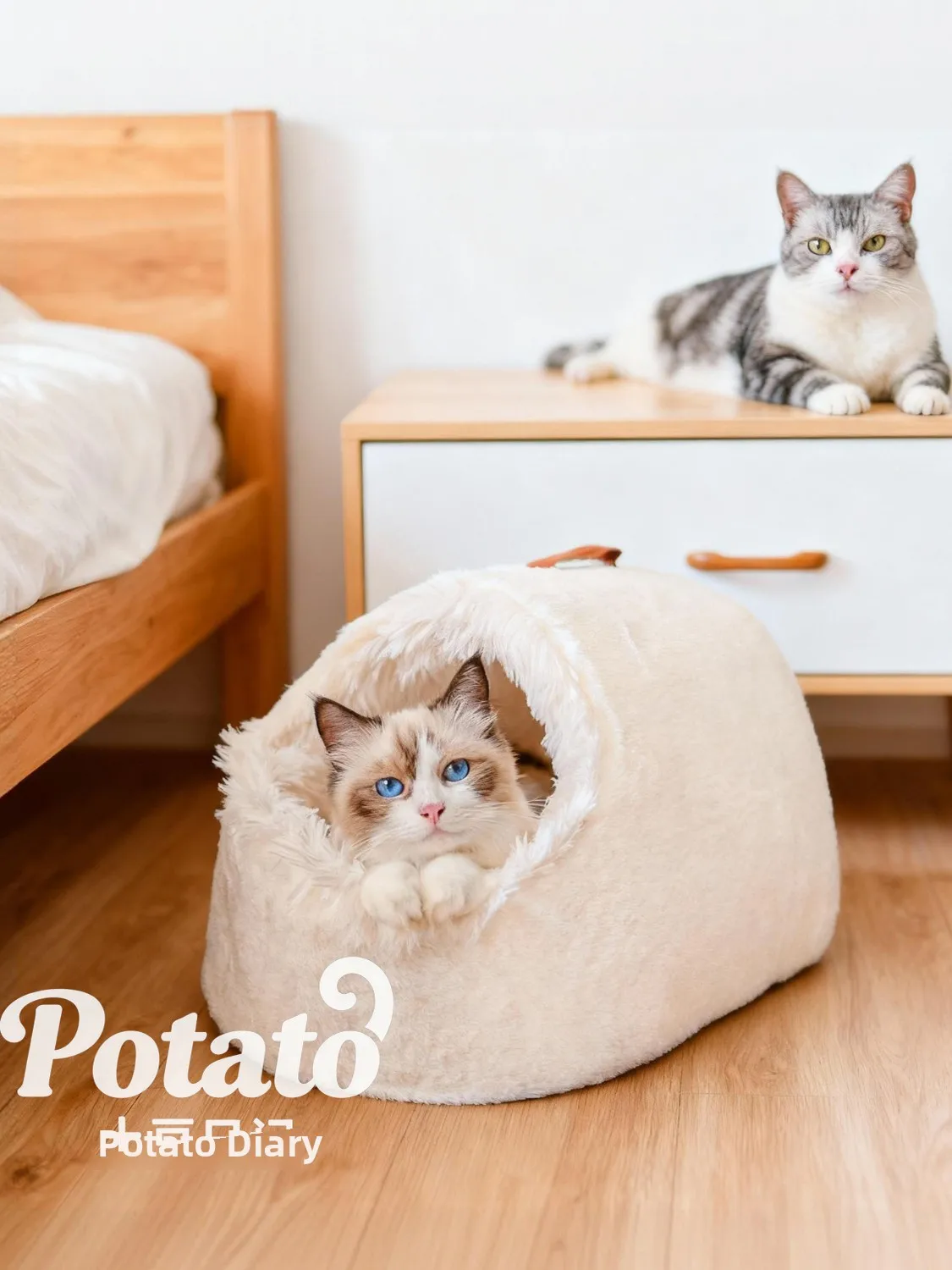 Thermostatically Controlled Heated Nest Winter Thiened Enclosed Se Dog Bed Small Dog Warmth Protection
Thermostatically Controlled Heated Nest Winter Thiened Enclosed Se Dog Bed Small Dog Warmth Protection