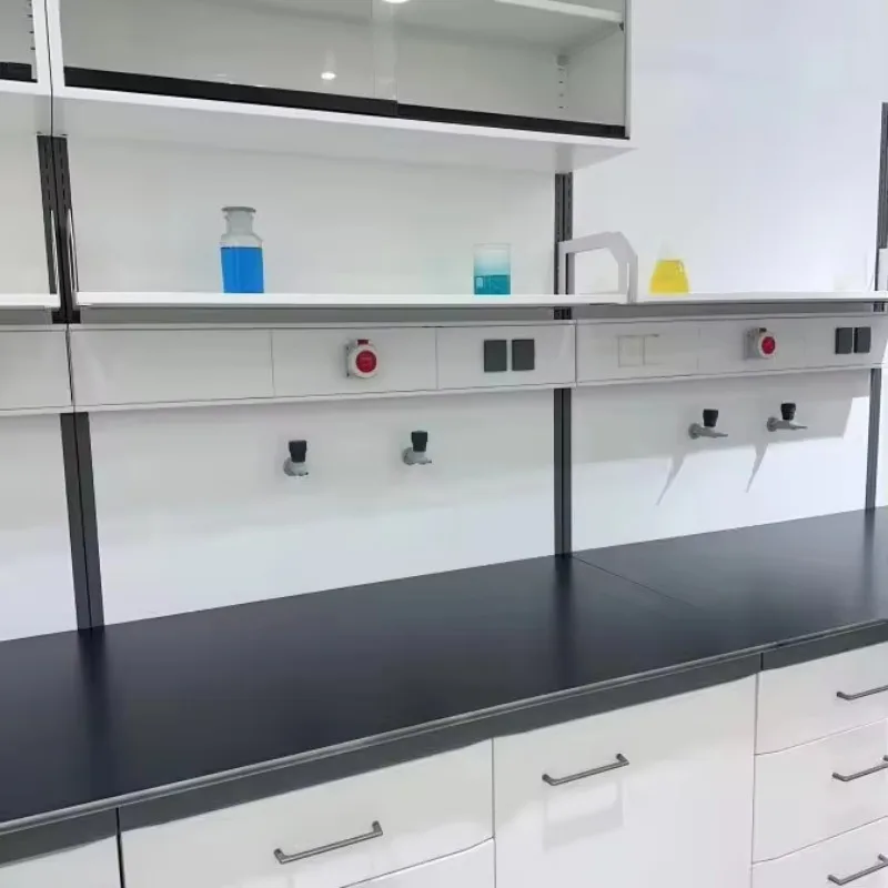 High Quality Customization School Hospital Laboratory Furniture Lab Work Bench
High Quality Customization School Hospital Laboratory Furniture Lab Work Bench