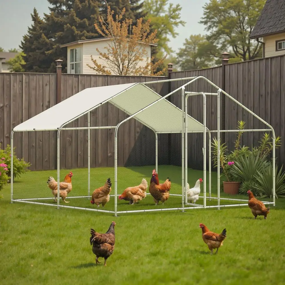 Large Metal Chicken Coop, 10'x10'x6.6' Walk-in Poultry Cage Outdoor Pen w/Waterproo & Anti-UV Cover, Hen House w/Security Lockab
Large Metal Chicken Coop, 10'x10'x6.6' Walk-in Poultry Cage Outdoor Pen w/Waterproo & Anti-UV Cover, Hen House w/Security Lockab