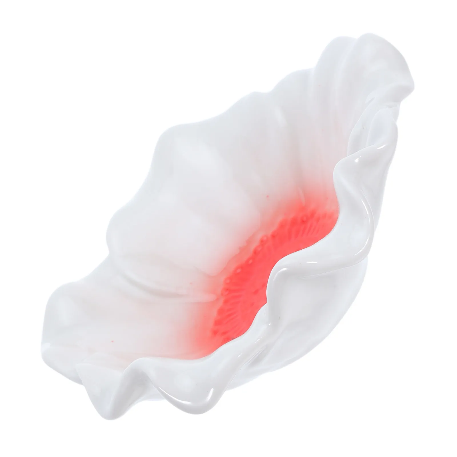 Gradient Ceramic Flower Jewelry Tray Trinket Dish for Women Jewelry Display Holder Organizing Bowl Vanity Decorative Storage
Gradient Ceramic Flower Jewelry Tray Trinket Dish for Women Jewelry Display Holder Organizing Bowl Vanity Decorative Storage