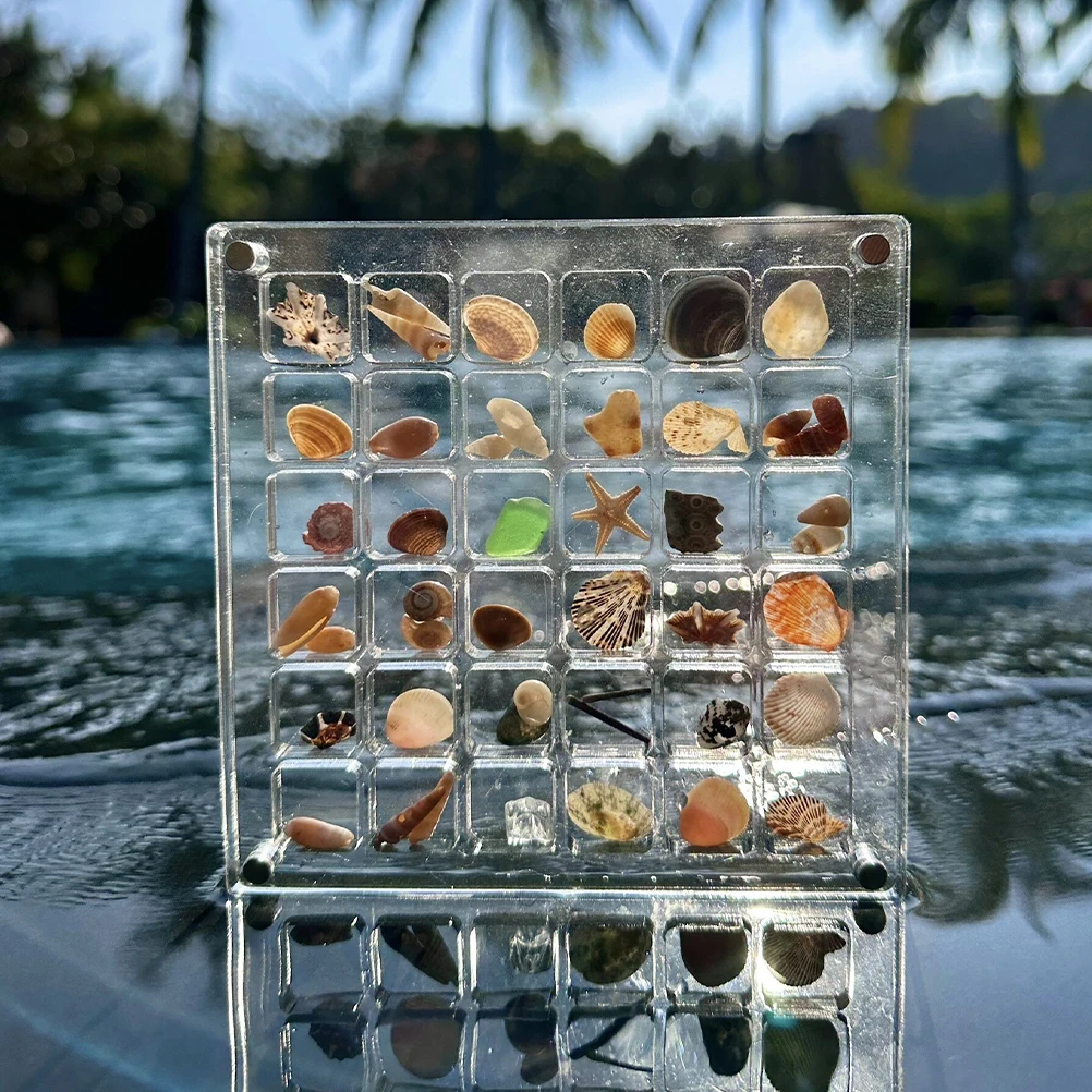 2pcs Seashell Display Box Acrylic Shell Collector Case 36 Compartments Beach Toy Dustproof Lid Sea Shell Jewelry Storage
2pcs Seashell Display Box Acrylic Shell Collector Case 36 Compartments Beach Toy Dustproof Lid Sea Shell Jewelry Storage