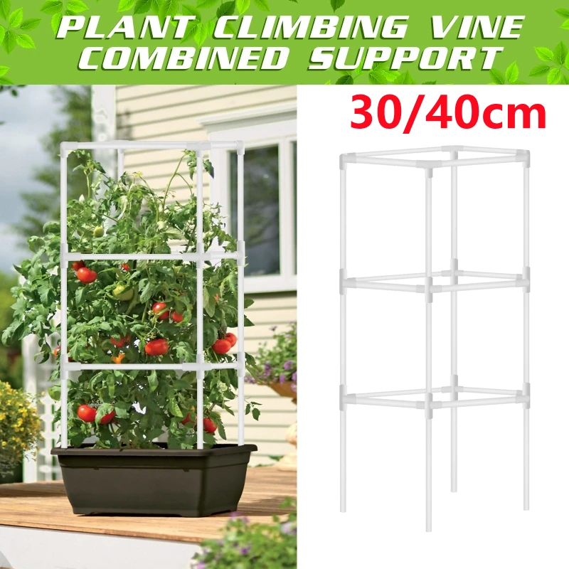 Garden Plant Frame Connector Fixed Clip Vertical Agriculture Support Fastener Pillar Plant Climbing Rattan Bracket Tomato Stand
Garden Plant Frame Connector Fixed Clip Vertical Agriculture Support Fastener Pillar Plant Climbing Rattan Bracket Tomato Stand