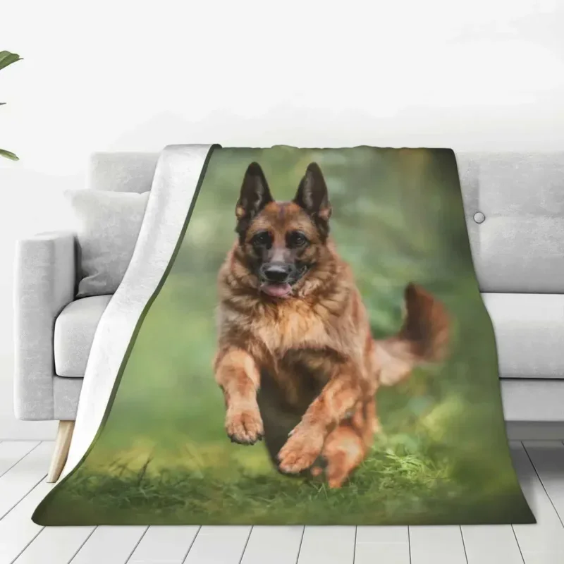 Cheerful German Shepherd Running Blankets Animal Dogs Plush Throw Blankets Summer Air Conditioning Printed Lightweight Bedsprea
Cheerful German Shepherd Running Blankets Animal Dogs Plush Throw Blankets Summer Air Conditioning Printed Lightweight Bedsprea