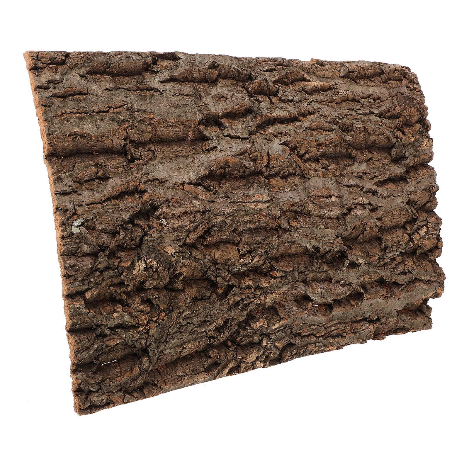 Bark Background Board 20x30CM Reptile Supply Terrarium Decor Lightweight Durable Bark Style Climb Platform Tank Accessories Pet
Bark Background Board 20x30CM Reptile Supply Terrarium Decor Lightweight Durable Bark Style Climb Platform Tank Accessories Pet