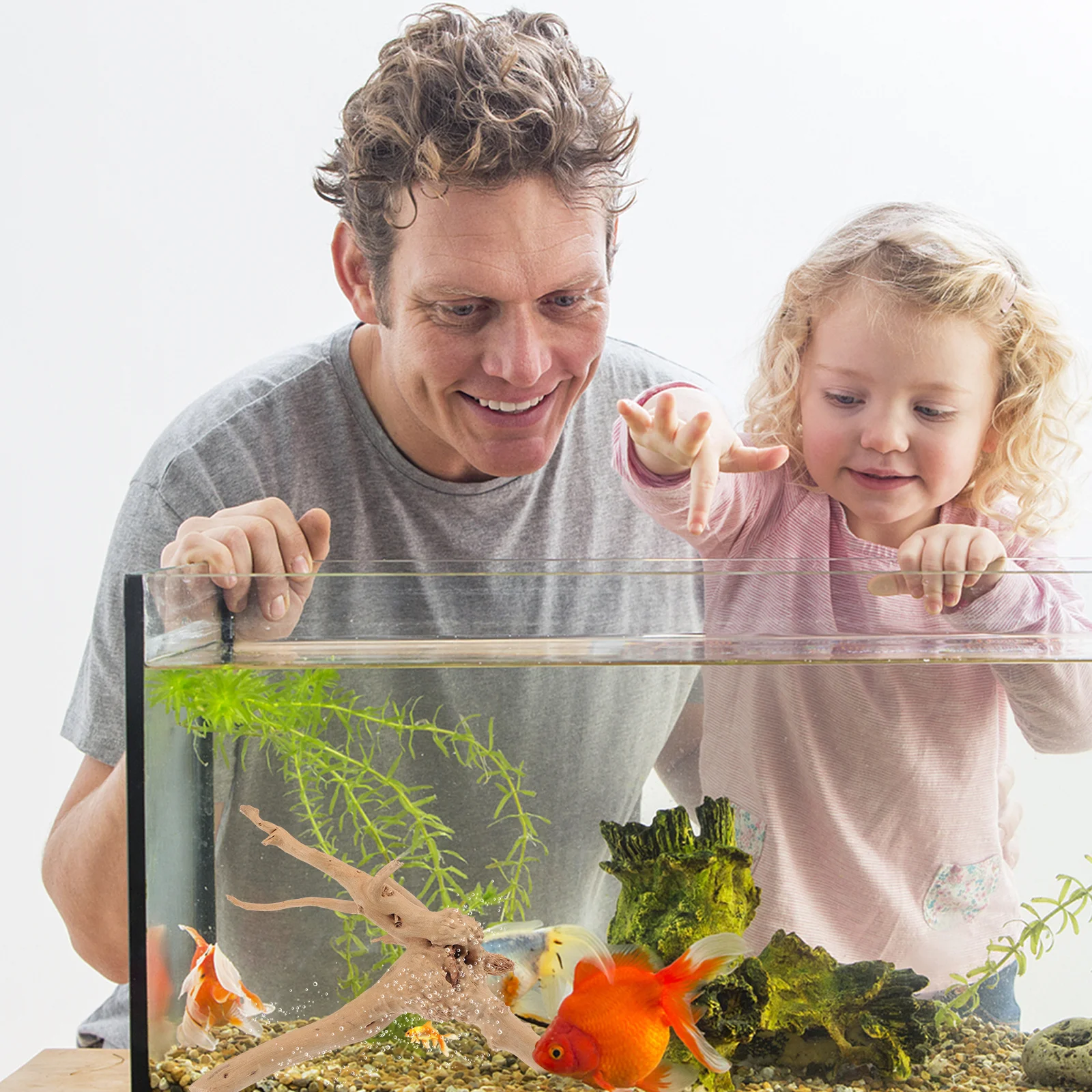 Natural Driftwood Rhododendron Root Fish Tank Decor Aquarium Driftwood Craft Landscape Ornament Underwater Fish Tank Supplies
Natural Driftwood Rhododendron Root Fish Tank Decor Aquarium Driftwood Craft Landscape Ornament Underwater Fish Tank Supplies