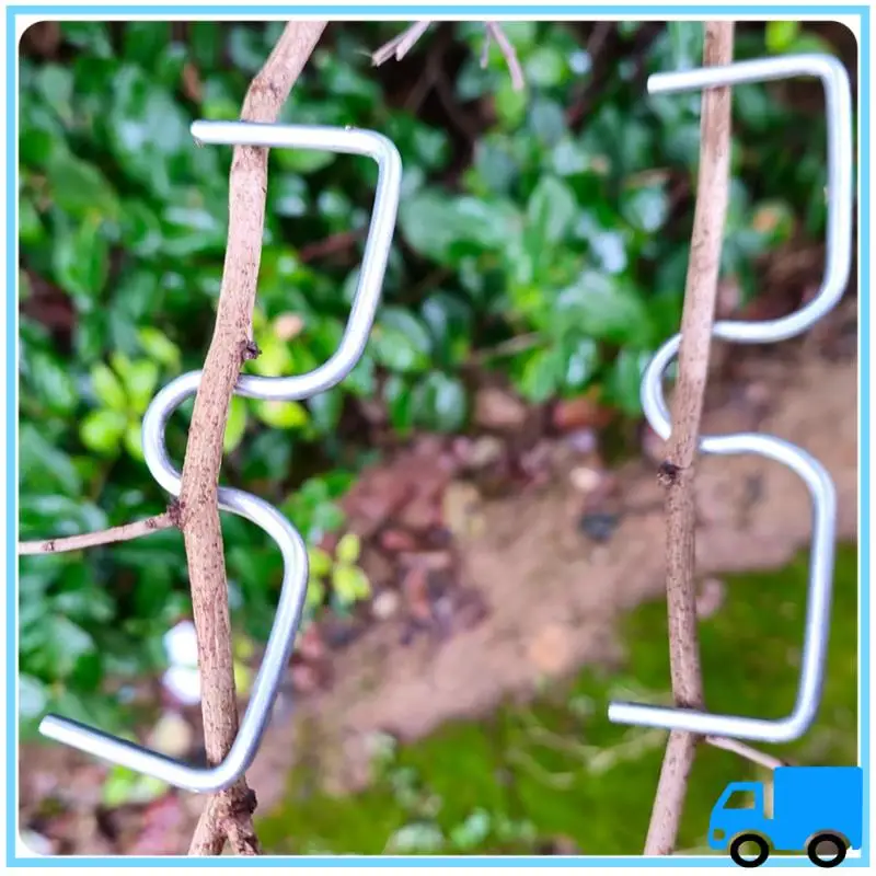 Latest 30 Pcs Fruit Tree Branch Puller Tying Machine Farm Tools Plum Tree Open Angle Pull Branch Stereotyped Branch Bending Dura
Latest 30 Pcs Fruit Tree Branch Puller Tying Machine Farm Tools Plum Tree Open Angle Pull Branch Stereotyped Branch Bending Dura
