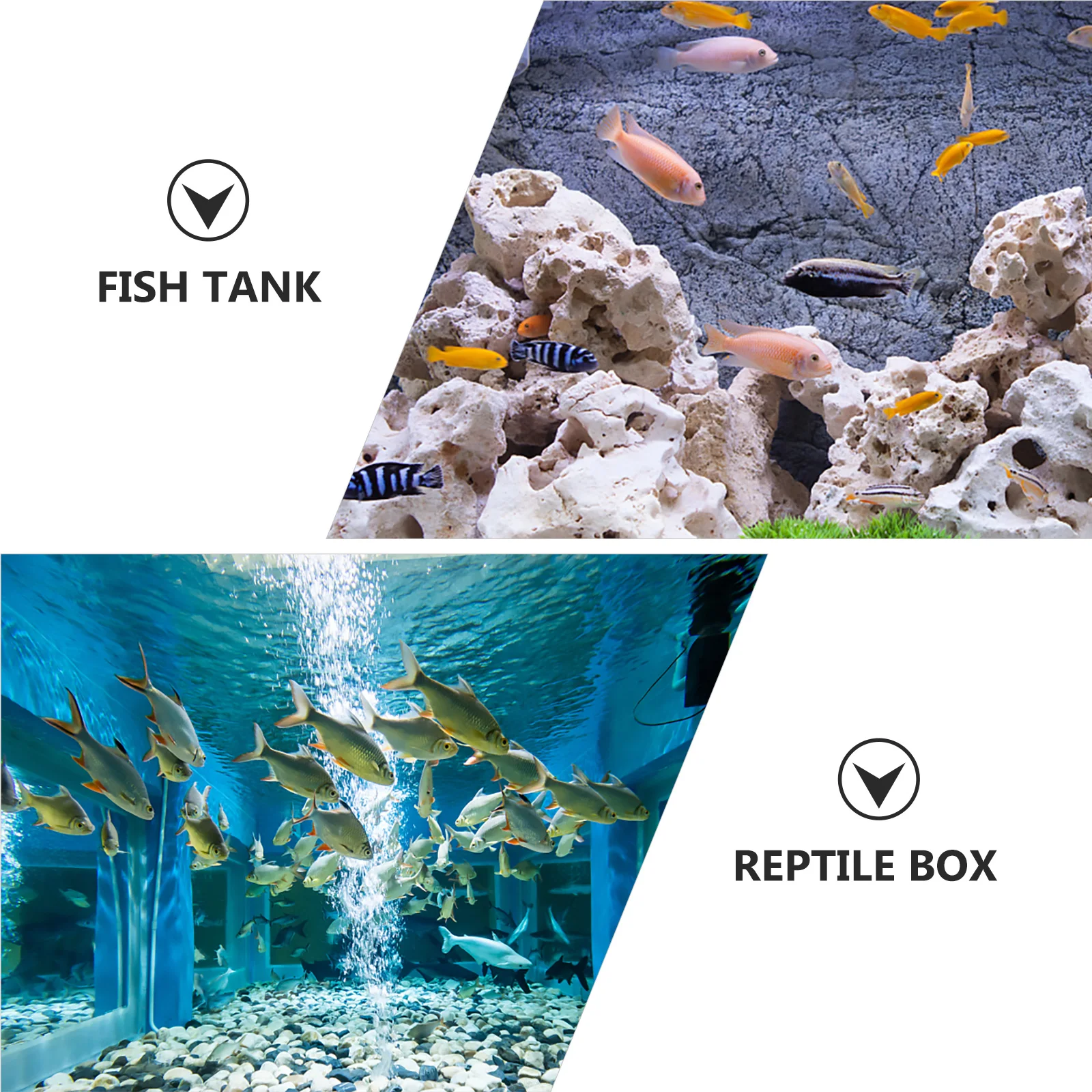 2 pcs Tank Pre-Filter Sponge Roll Aquarium Sponge Filter Replacement For Freshwater Filter Aquarium Marine 10Mm
2 pcs Tank Pre-Filter Sponge Roll Aquarium Sponge Filter Replacement For Freshwater Filter Aquarium Marine 10Mm