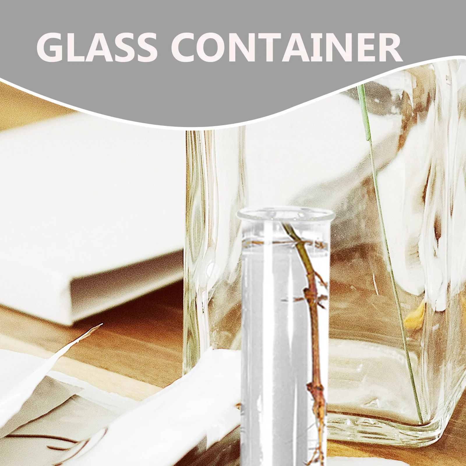 4Pcs Glass Test Tube Vase Hydroponic Planter Bottle Transparent Tubes for Flowers Propagation Home Office Use Test Tube Vase
4Pcs Glass Test Tube Vase Hydroponic Planter Bottle Transparent Tubes for Flowers Propagation Home Office Use Test Tube Vase