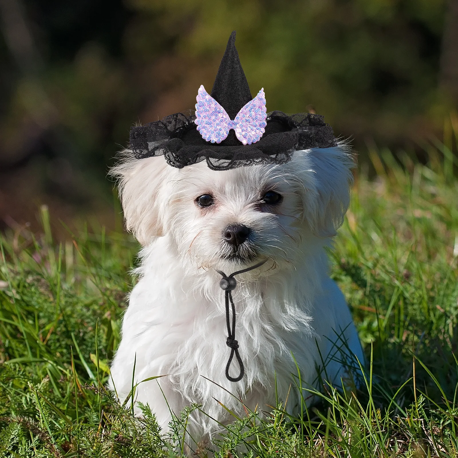 Halloween Pet Hat for Cats Dogs Lightweight Adjustable Comfortable Halloween Party Headwear Pet Hat Dog Costume
Halloween Pet Hat for Cats Dogs Lightweight Adjustable Comfortable Halloween Party Headwear Pet Hat Dog Costume