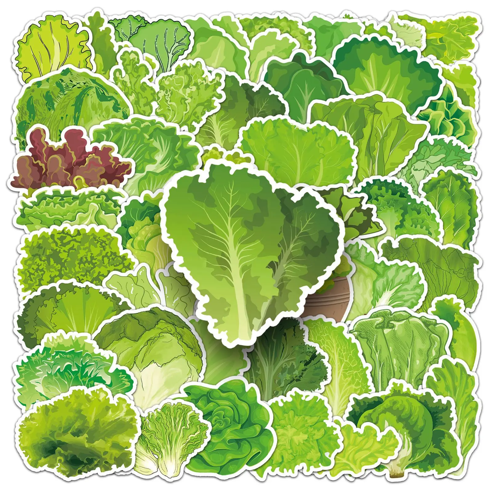 50PCS Lettuce Stickers Green Vegetable Cartoon Food Decorative Stationery Laptop Journal Water Cup Waterproof Sticker Kids Toy
50PCS Lettuce Stickers Green Vegetable Cartoon Food Decorative Stationery Laptop Journal Water Cup Waterproof Sticker Kids Toy