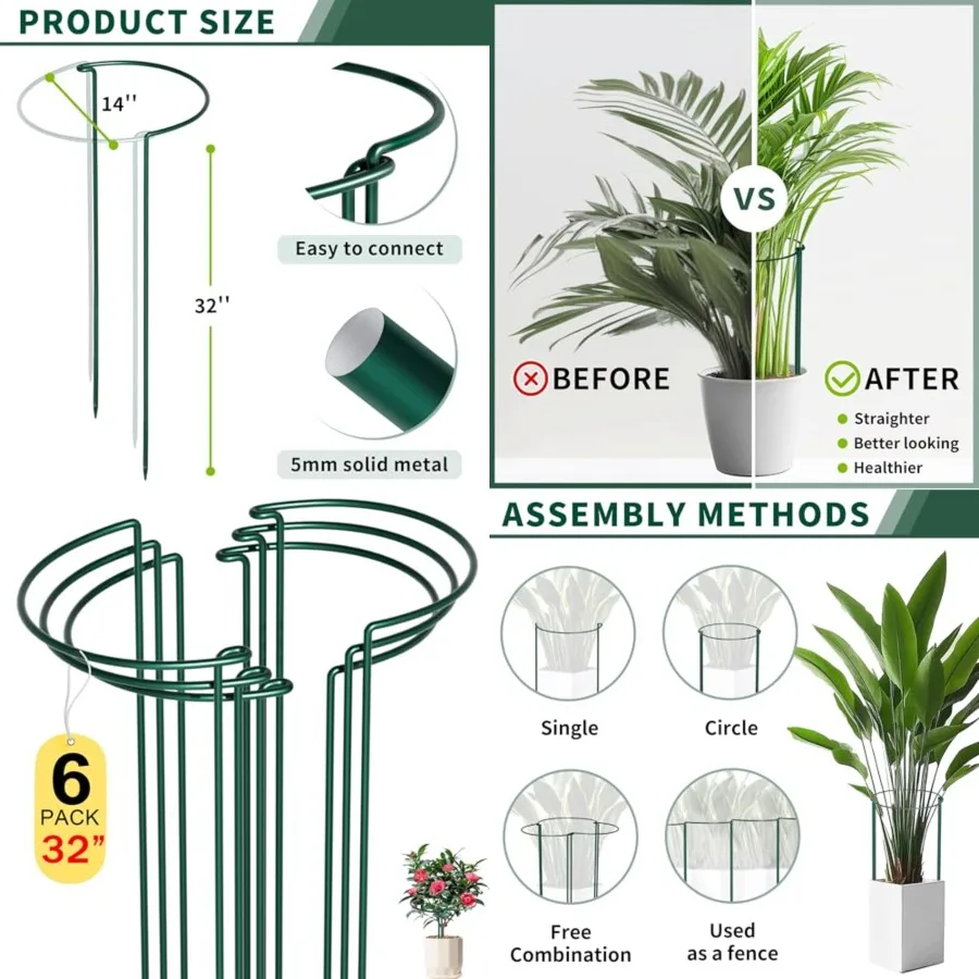 6 Pack Peony Cages and Supports, 14" W x 32"(H) Plant Support, Heavy-Duty Metal Plant Support Stakes, Plant Stakes for Outdoor
6 Pack Peony Cages and Supports, 14" W x 32"(H) Plant Support, Heavy-Duty Metal Plant Support Stakes, Plant Stakes for Outdoor