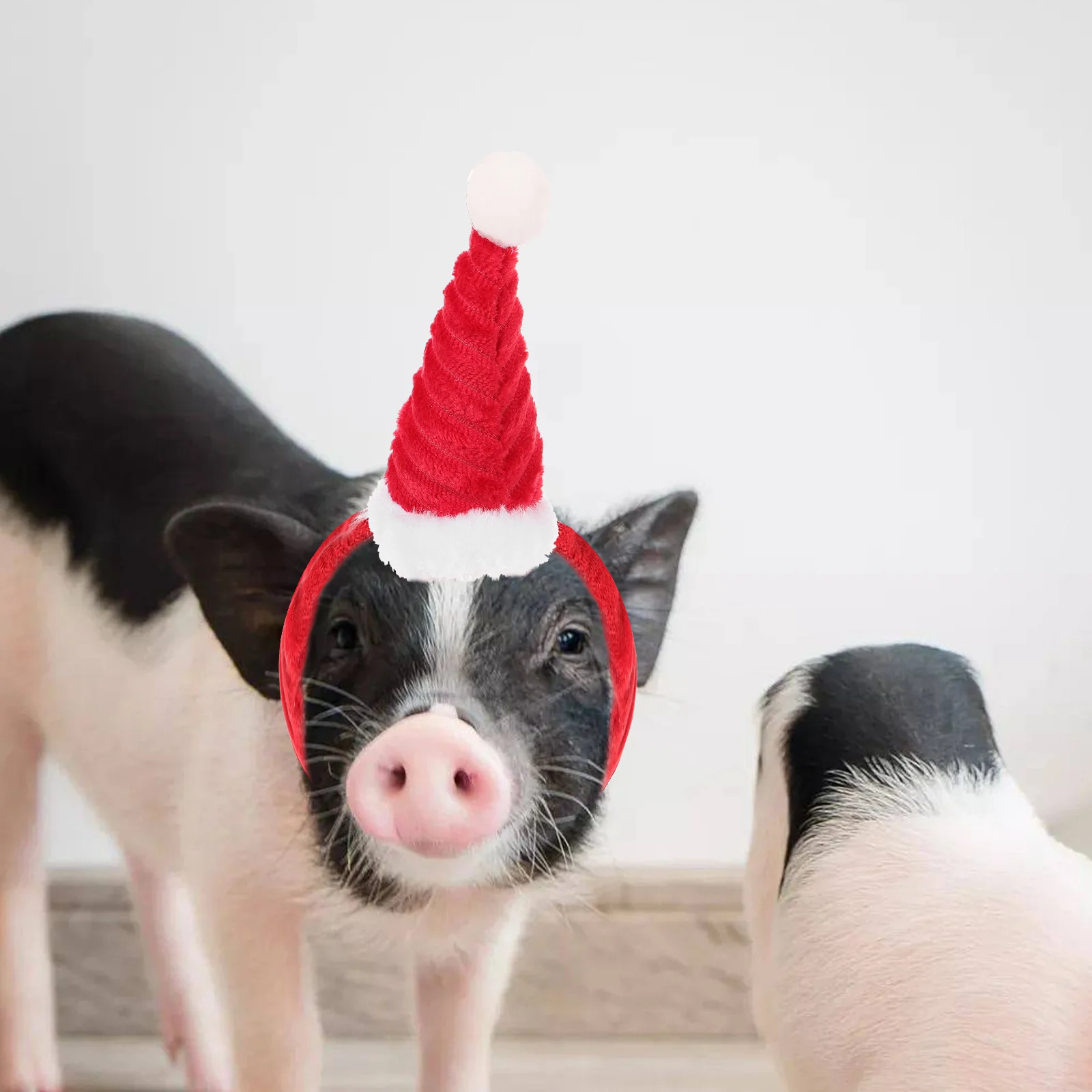 Christmas Small Costume Set Red Santa Hat Scarf Guinea Pig Chicken Parrot Cute Small Pet Costume Xmas Decor Pet Supply
Christmas Small Costume Set Red Santa Hat Scarf Guinea Pig Chicken Parrot Cute Small Pet Costume Xmas Decor Pet Supply