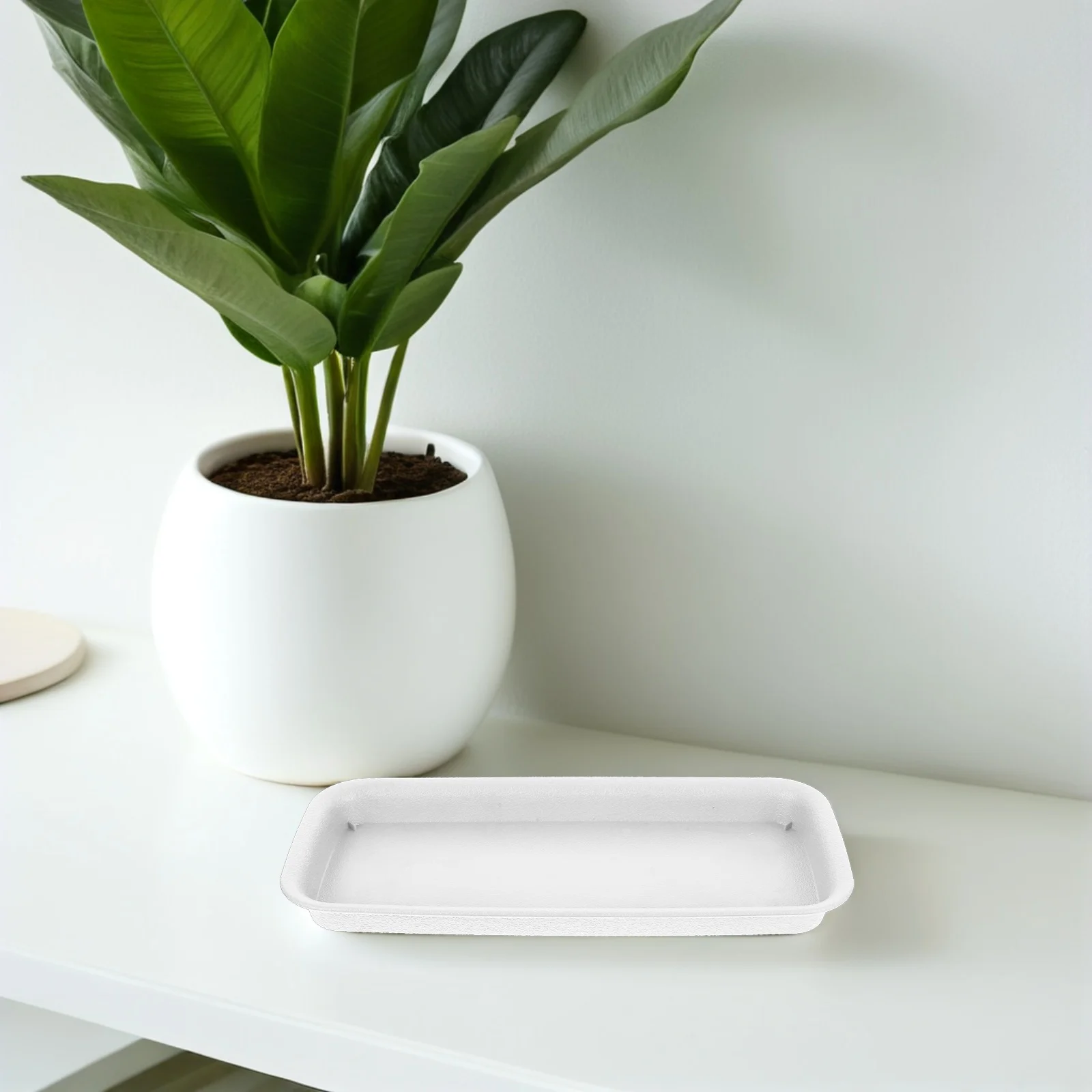 4 Pcs Planter Saucer for Flower Pot Base Indoor Waterproof Resin Material Easy Clean Stable Support Versatile Drip Trays Potted
4 Pcs Planter Saucer for Flower Pot Base Indoor Waterproof Resin Material Easy Clean Stable Support Versatile Drip Trays Potted