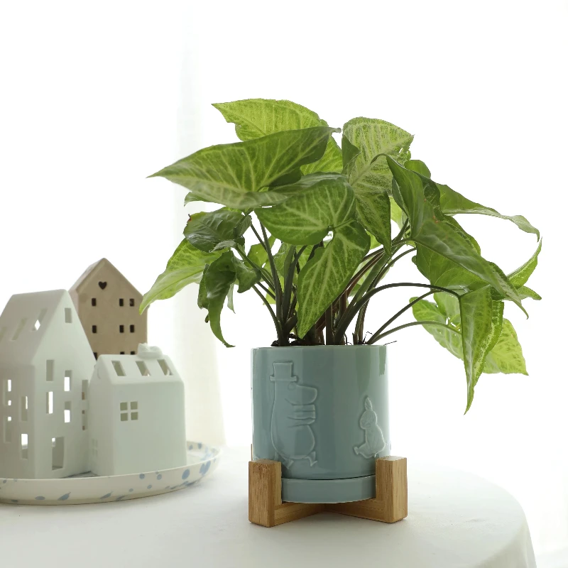 Japanese style minimalist wooden tray ceramic flowerpot with water tray home office desktop green plant flower vase decoration
Japanese style minimalist wooden tray ceramic flowerpot with water tray home office desktop green plant flower vase decoration