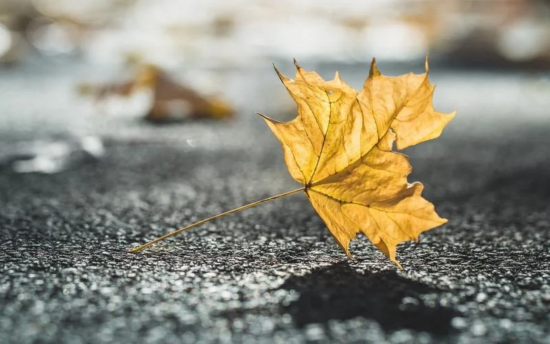 Для Honda CRV 2015-2016 марганцевая сталь под защитным приспособлением двигателя, капоты двигателя, щиток двигателя, автомобильные аксессуары.
Для Honda CRV 2015-2016 марганцевая сталь под защитным приспособлением двигателя, капоты двигателя, щиток двигателя, автомобильные аксессуары.