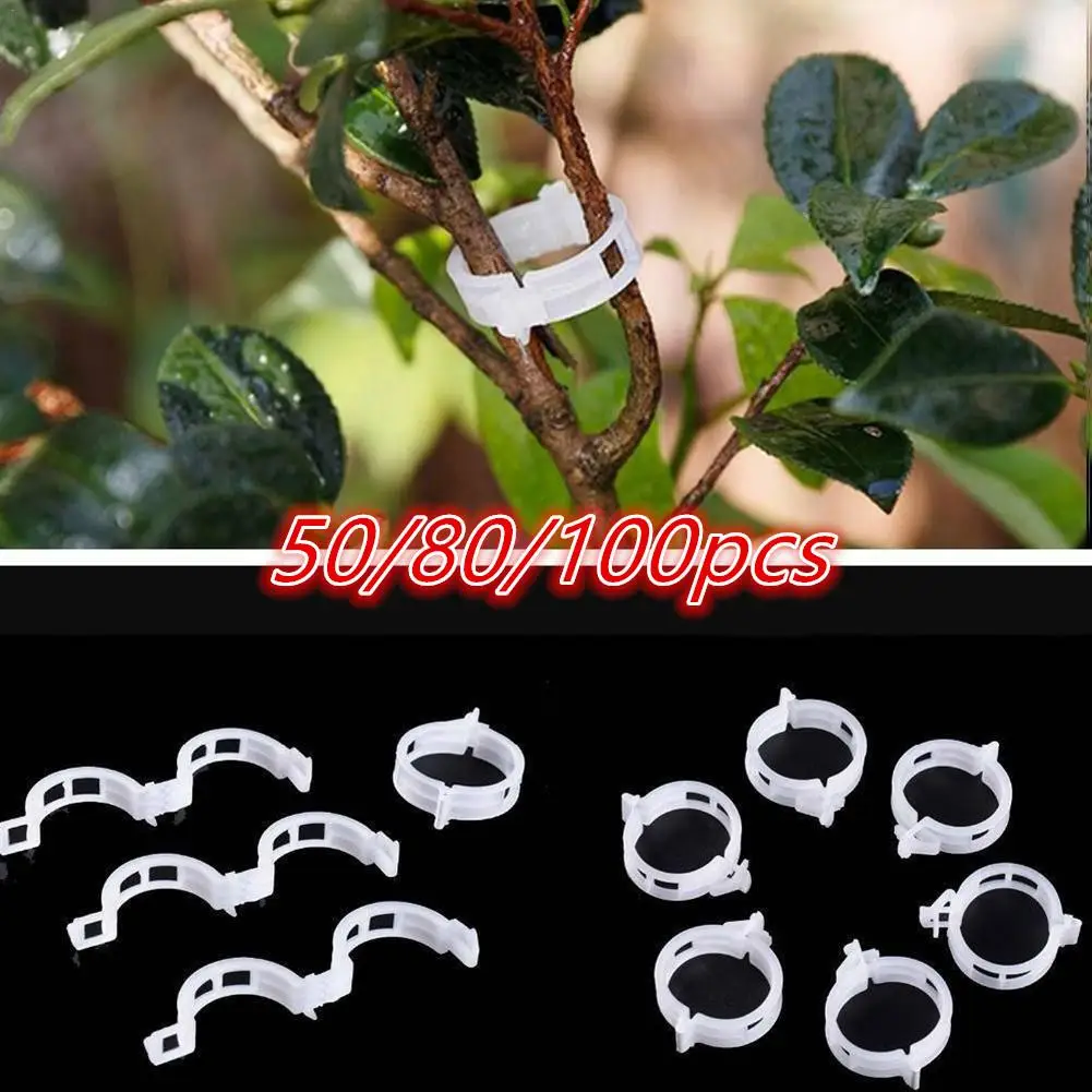 50/80/100 Pcs Vertical Support Plant Clips, Hortaliças De Jardim, Tomate, Caules De Videira, Crescer, Pepino, Alfarroba
50/80/100 Pcs Vertical Support Plant Clips, Hortaliças De Jardim, Tomate, Caules De Videira, Crescer, Pepino, Alfarroba