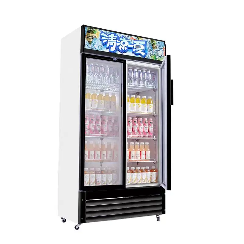 2 Door Beverage Fridge Display Cold Drink Refrigerator
2 Door Beverage Fridge Display Cold Drink Refrigerator