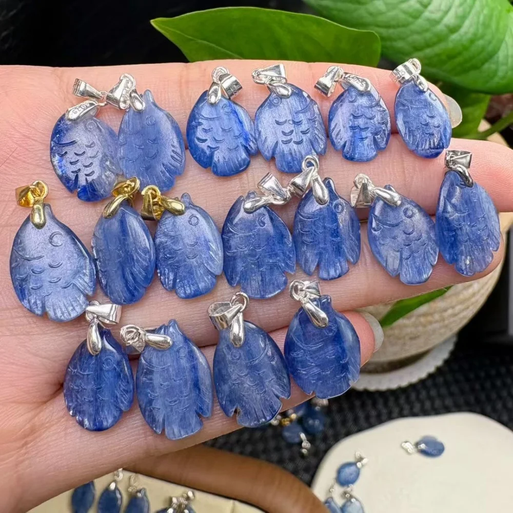 1PCS Natural Kyanite Fish Crystal Quartz Pendant Polished Crystal Reiki Healing Jewelry Gift Rock Decoration S925
1PCS Natural Kyanite Fish Crystal Quartz Pendant Polished Crystal Reiki Healing Jewelry Gift Rock Decoration S925