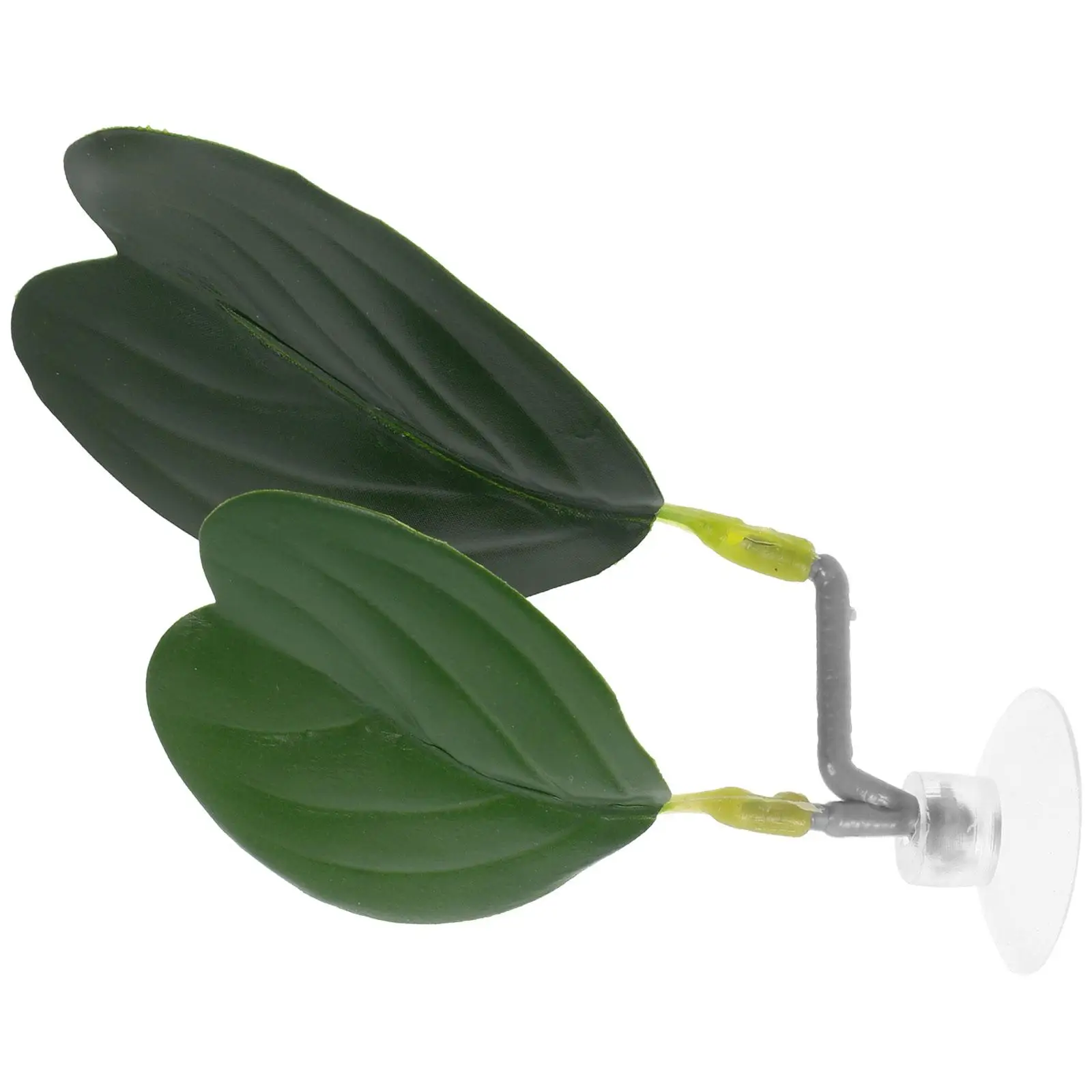 Artificial Water Plants Betta Leaf Hammock Decor for Tanks Resting Leaf BedBetta Fish Tank Adornment Fish Hideout
Artificial Water Plants Betta Leaf Hammock Decor for Tanks Resting Leaf BedBetta Fish Tank Adornment Fish Hideout