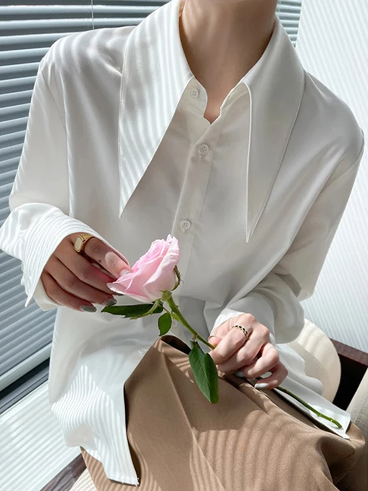 Dongdaemun Women's Premium Feel Long Sleeve Shirt Spring Autumn Loose Acetate Satin Point Collar Women's Shirt Commute Style
Dongdaemun Women's Premium Feel Long Sleeve Shirt Spring Autumn Loose Acetate Satin Point Collar Women's Shirt Commute Style
