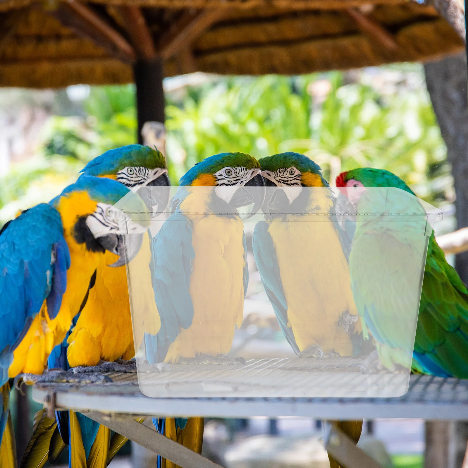 Birdcage Splash Guard Clear Acrylic Cover Reusable Feeder For Cage Protection Anti-Splash Food Residue Guard Cage Accessories
Birdcage Splash Guard Clear Acrylic Cover Reusable Feeder For Cage Protection Anti-Splash Food Residue Guard Cage Accessories