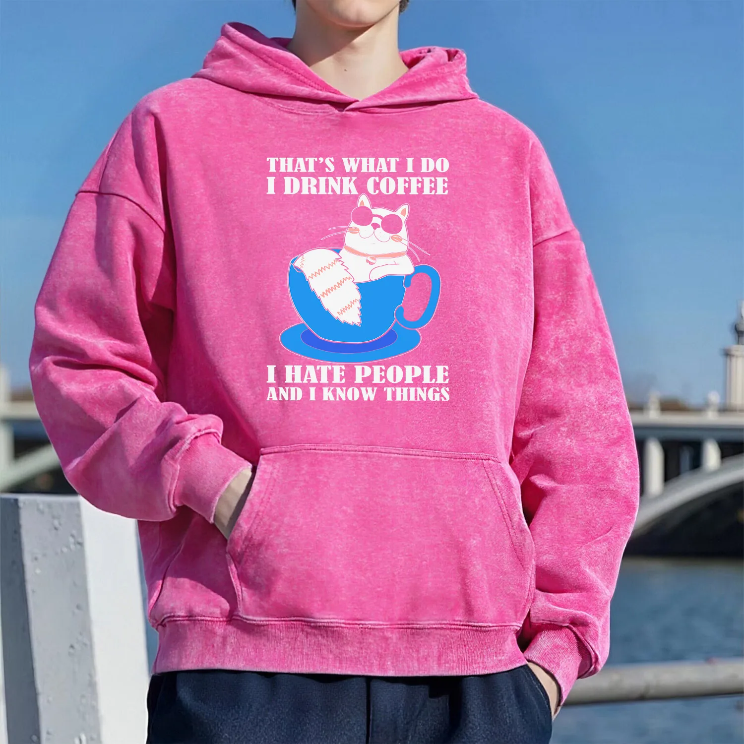 Толстовка с капюшоном в стиле ретро в стиле кошки, унисекс, повседневный спортивный стиль, изготовленный из чистого хлопка, уличный стиль, 400 г
Толстовка с капюшоном в стиле ретро в стиле кошки, унисекс, повседневный спортивный стиль, изготовленный из чистого хлопка, уличный стиль, 400 г