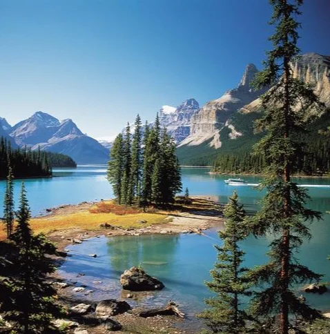 Axisflying OWL Black Light PRO камера CVBS 1800TVL 1/1,8 "сенсор PAL NTSC 19*19 мм для RC FPV Drone Quadcopter 
Axisflying OWL Black Light PRO камера CVBS 1800TVL 1/1,8 "сенсор PAL NTSC 19*19 мм для RC FPV Drone Quadcopter