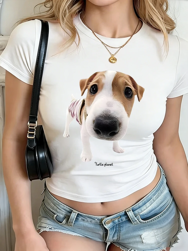 Cute Puppy Dog Lover Crop Tops Women's 100% Cotton American Style Crew Neck T-Shirt Fashion Animal Tshirts
Cute Puppy Dog Lover Crop Tops Women's 100% Cotton American Style Crew Neck T-Shirt Fashion Animal Tshirts