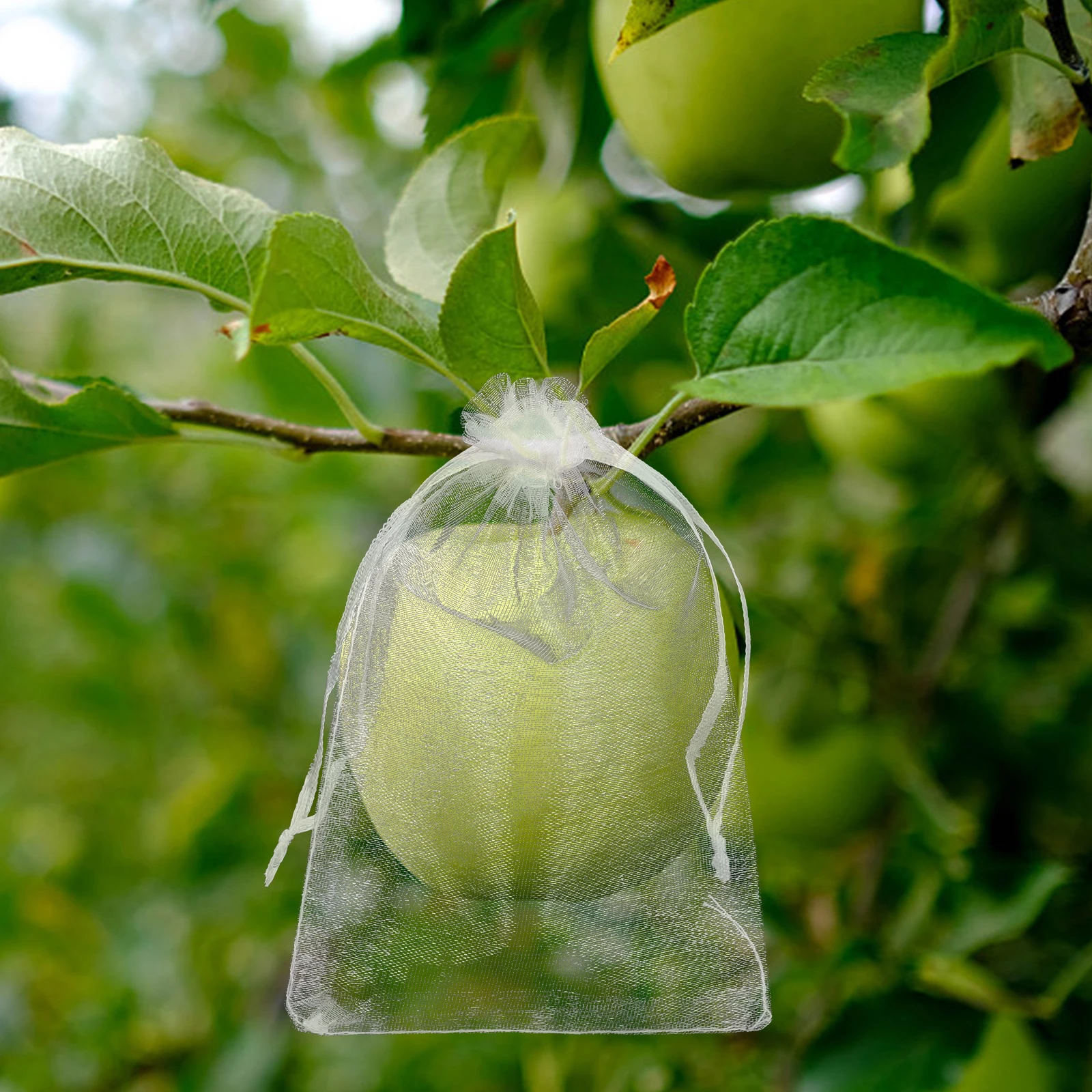 50pcs Fruit Protection Bags Drawstring Mesh Netting Garden Suppliesreusable Nylon Mesh Bags For Vegetables Fruit Tree Plants
50pcs Fruit Protection Bags Drawstring Mesh Netting Garden Suppliesreusable Nylon Mesh Bags For Vegetables Fruit Tree Plants