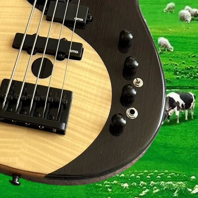 Electric guitar, factory provides fast and free delivery, multiple styles, high-end quality, customizable @GKO12
Electric guitar, factory provides fast and free delivery, multiple styles, high-end quality, customizable @GKO12