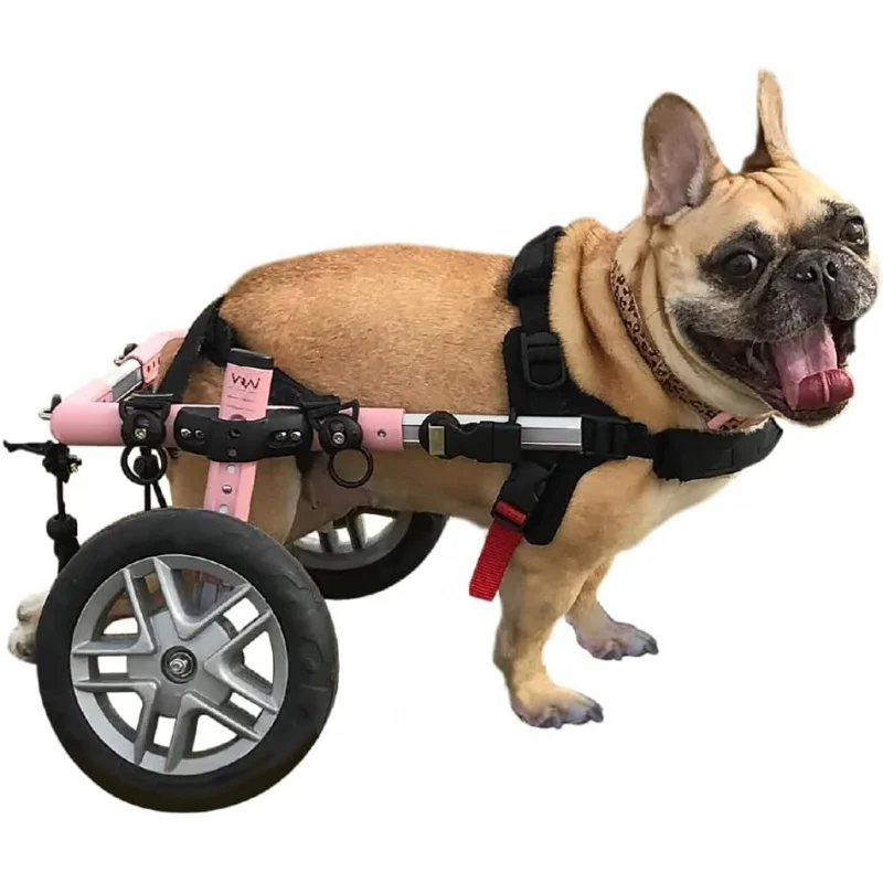 2026 New:Wheels Small, Lightweight Back, 15-25 lbs, 12-15 inches Leg Height -
2026 New:Wheels Small, Lightweight Back, 15-25 lbs, 12-15 inches Leg Height -