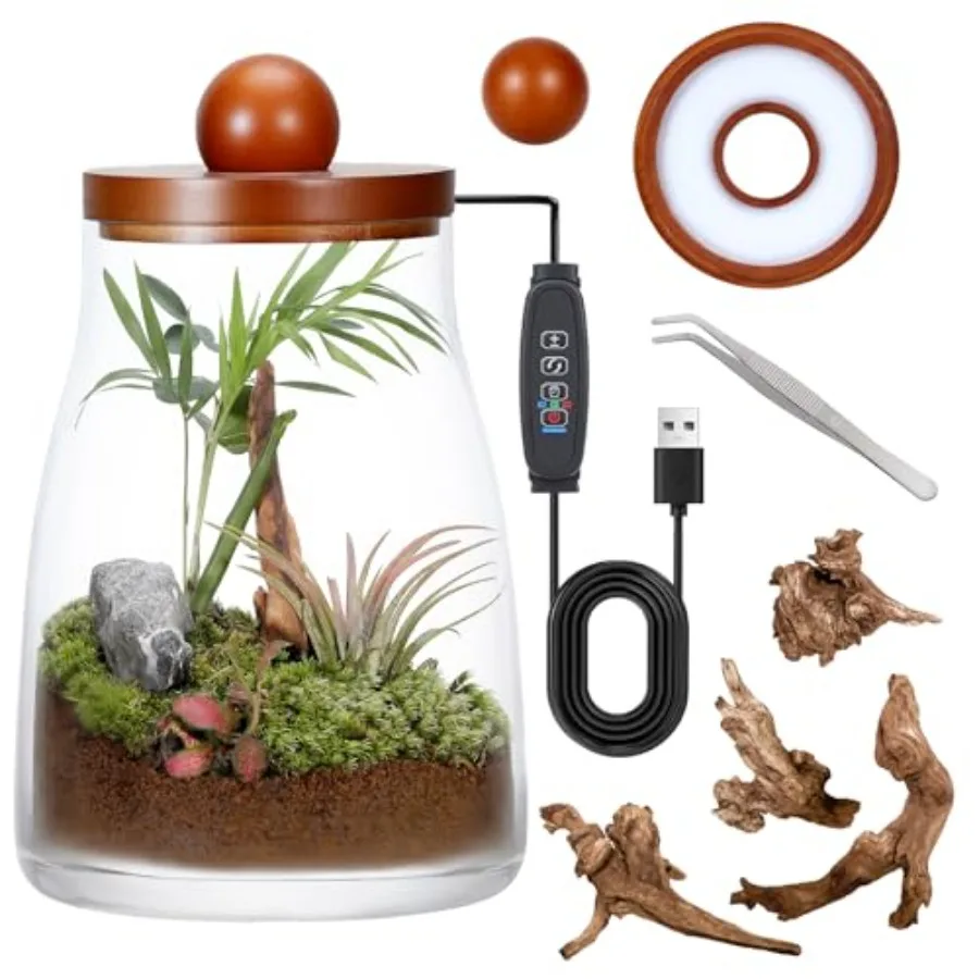 Desktop Glass Plant Terrarium with Grow Light for Moss Succulent Miniature Gardening Landscape Betta Fish Tank Desktop Decor Ho
Desktop Glass Plant Terrarium with Grow Light for Moss Succulent Miniature Gardening Landscape Betta Fish Tank Desktop Decor Ho