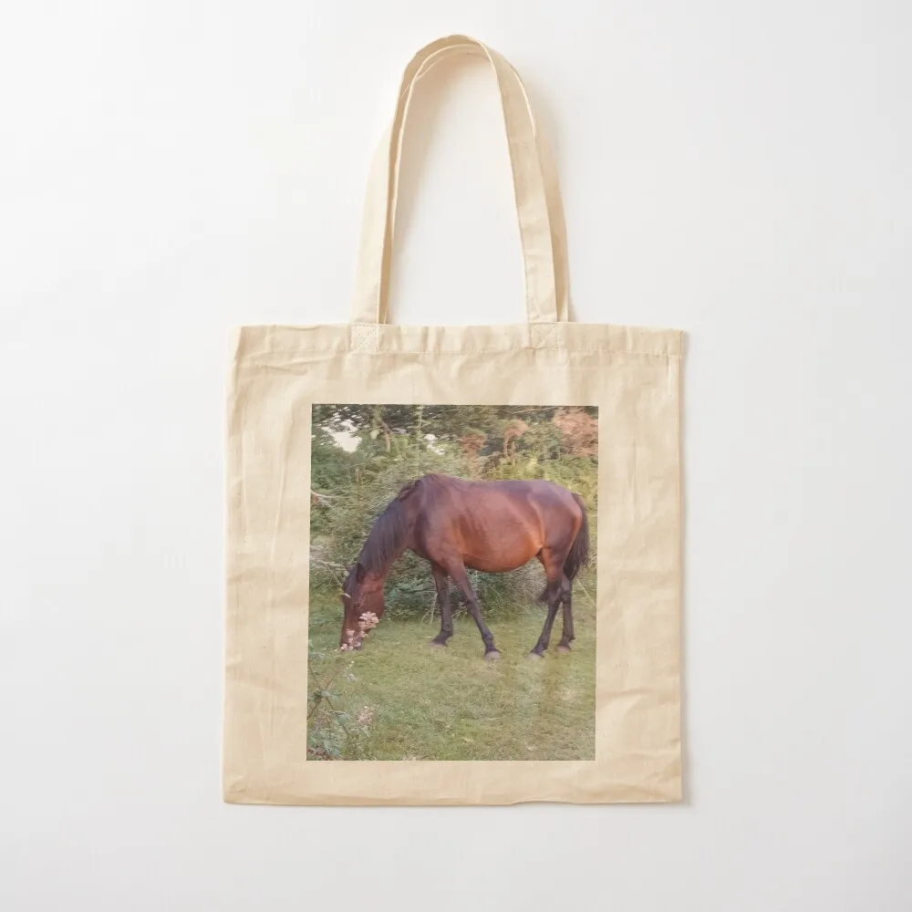 Красивая большая сумка New Forest Pony, Hampshire, UK, большие сумки для покупок, складные мужские тканевые сумки, холст
Красивая большая сумка New Forest Pony, Hampshire, UK, большие сумки для покупок, складные мужские тканевые сумки, холст