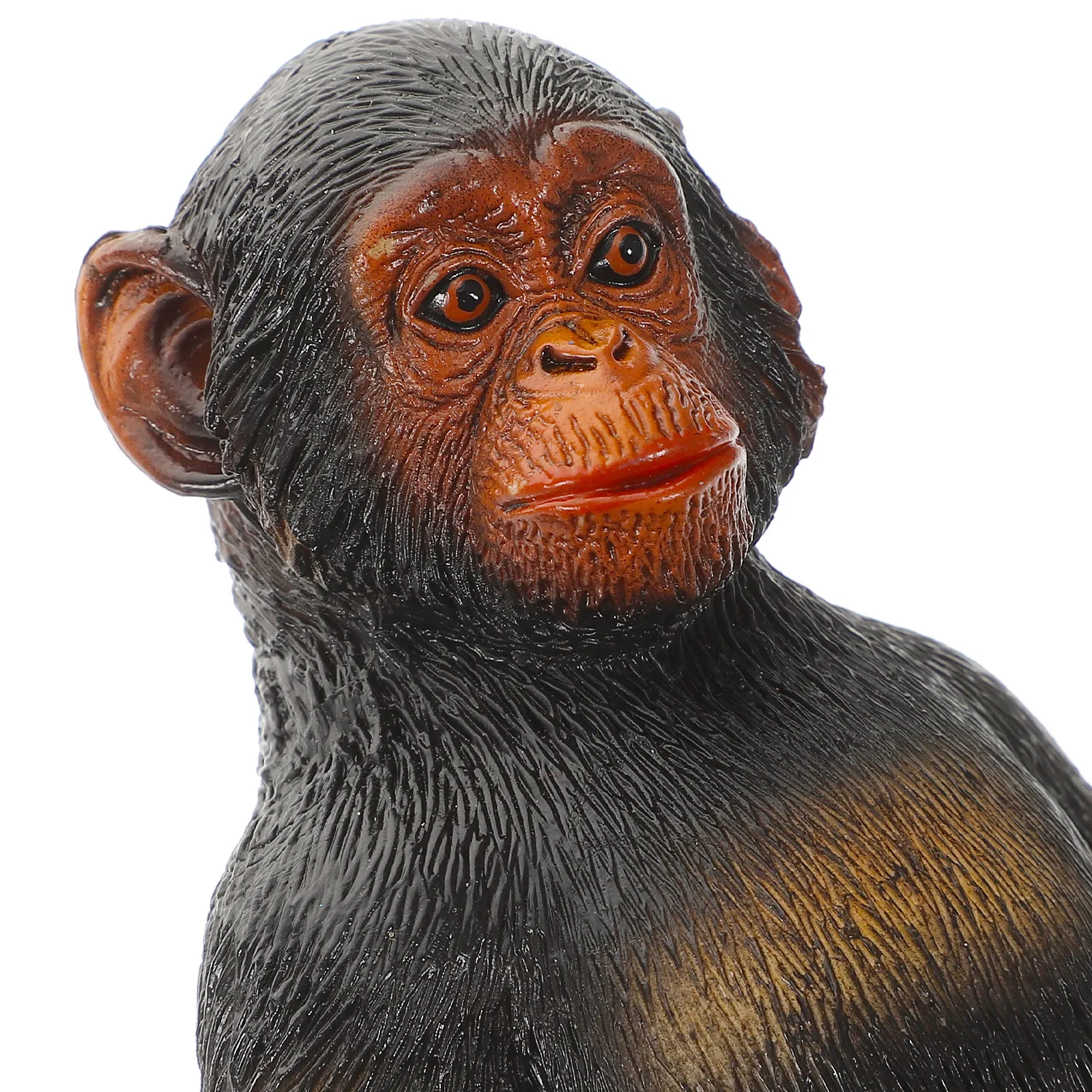 Realistic Chimpanzee Animal Figure Simulation Wildlife Decoration Educational Cognitive Play Gift for Kids
Realistic Chimpanzee Animal Figure Simulation Wildlife Decoration Educational Cognitive Play Gift for Kids
