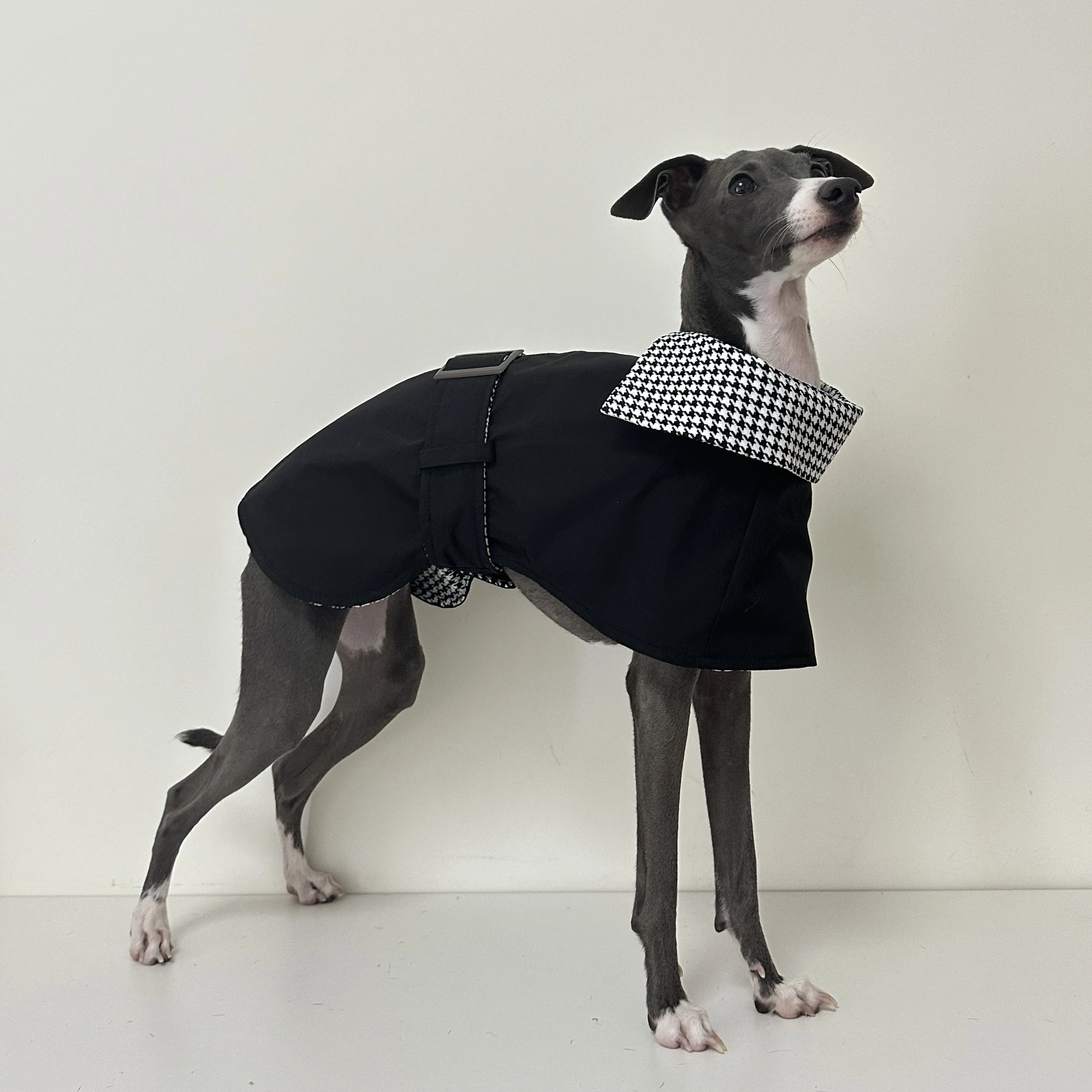 Fashion Greyhound Whippet Bellington Dog Black Dress Windproof Winter Turtleneck Clothes for Small Media Large Dogs
Fashion Greyhound Whippet Bellington Dog Black Dress Windproof Winter Turtleneck Clothes for Small Media Large Dogs