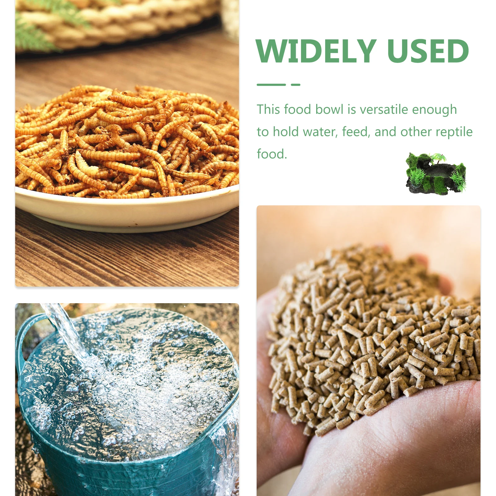 Resin Reptile Food Dish Wear-Resistant Decorative Water Bowl Natural Stable Feeding Bowl for Home Terrarium Pets
Resin Reptile Food Dish Wear-Resistant Decorative Water Bowl Natural Stable Feeding Bowl for Home Terrarium Pets