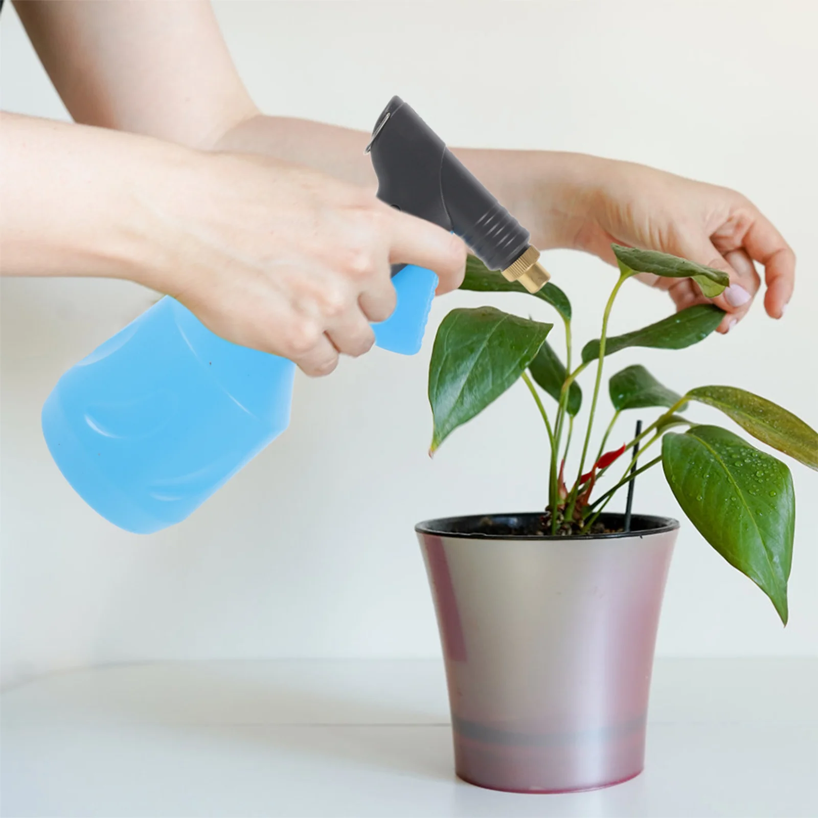 Spray Bottle 650Ml Blue Refillable Watering Sprayer For Garden Plants Succulents Cleaning Dead Corners Durable Empty Bottle 
Spray Bottle 650Ml Blue Refillable Watering Sprayer For Garden Plants Succulents Cleaning Dead Corners Durable Empty Bottle