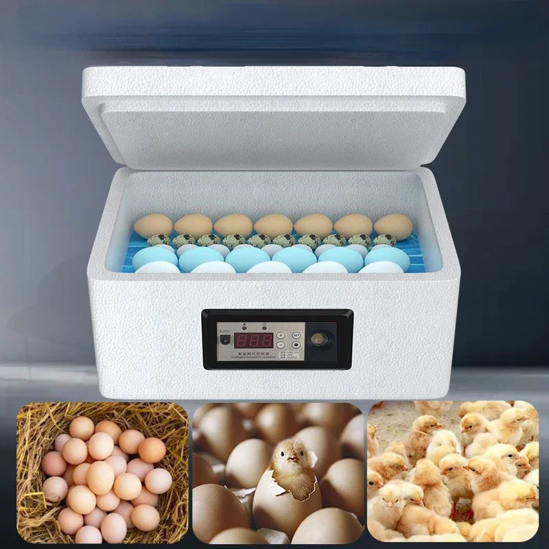 Egg Incubator Set Fully Automatic Household Brooding Machine Agricultural Eggs Intelligent Temperature Control Incubator
Egg Incubator Set Fully Automatic Household Brooding Machine Agricultural Eggs Intelligent Temperature Control Incubator