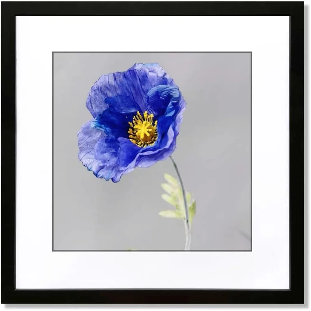 17x17 Black Frame Display 17x17 Photo or 13x13 with Mat Single Piece Wall Decor
17x17 Black Frame Display 17x17 Photo or 13x13 with Mat Single Piece Wall Decor