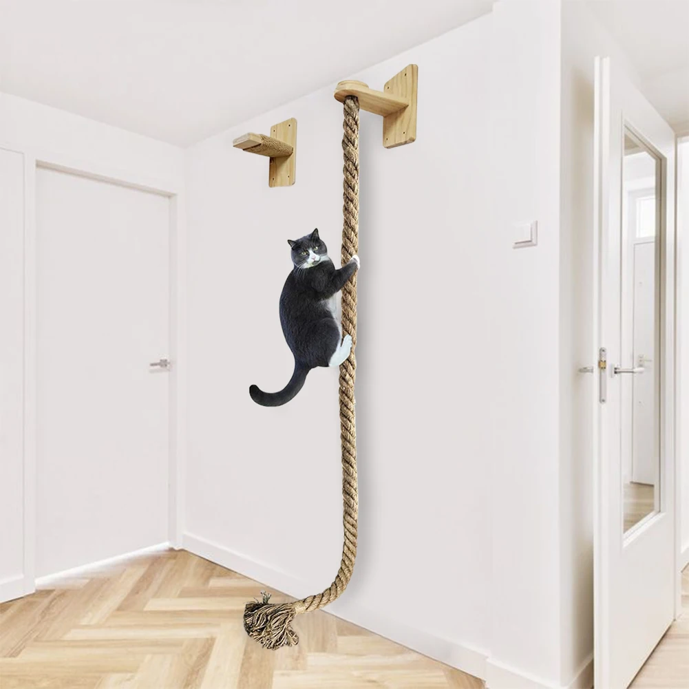 Thickened Sisal Rope Wear Resist Climbing Training Rope Reusable Wall Mounted Rope for Cat Furniture Scratcher Play Equipment
Thickened Sisal Rope Wear Resist Climbing Training Rope Reusable Wall Mounted Rope for Cat Furniture Scratcher Play Equipment