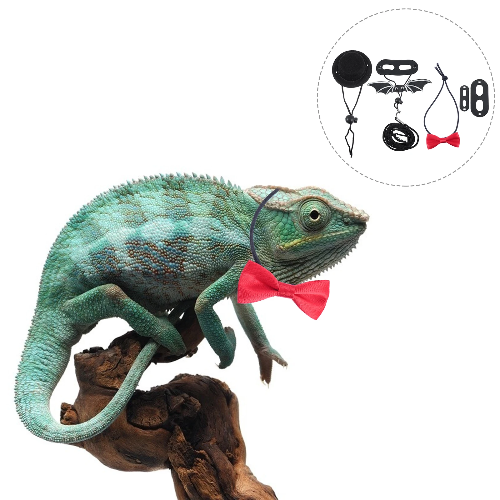 Lizard Costume Non woven Fabric Bowtie Hat Reptile Outfit Small Animals Valentine Leash Suit Cap Pet Accessories
Lizard Costume Non woven Fabric Bowtie Hat Reptile Outfit Small Animals Valentine Leash Suit Cap Pet Accessories