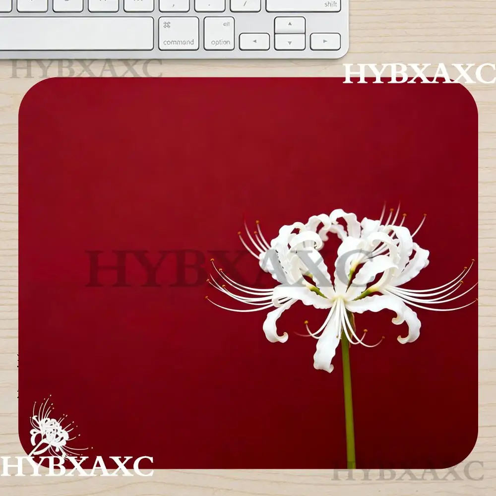 HYBXAXC Class Zero Solid Color Fps Gaming Game Special Competitive Small Size FPX Esport for Work Setup, Computer Accessories
HYBXAXC Class Zero Solid Color Fps Gaming Game Special Competitive Small Size FPX Esport for Work Setup, Computer Accessories