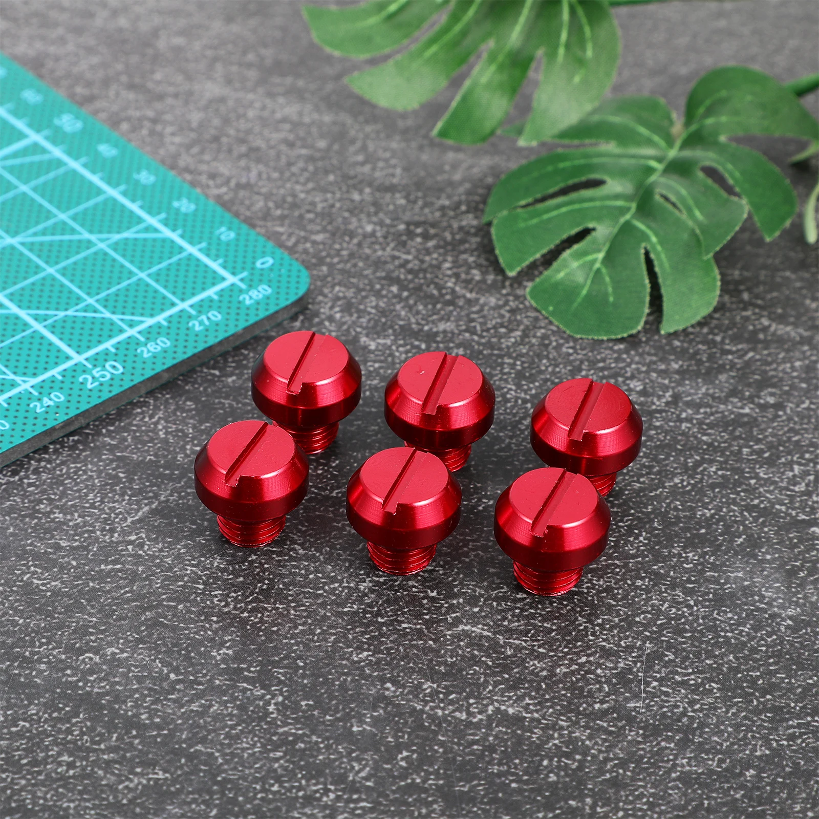 6Pcs Motorcycle Rearview Mirror Screws Aluminum Alloy Durable Mirror Hole Plugs Stable Fixation Motorcycle Accessories
6Pcs Motorcycle Rearview Mirror Screws Aluminum Alloy Durable Mirror Hole Plugs Stable Fixation Motorcycle Accessories