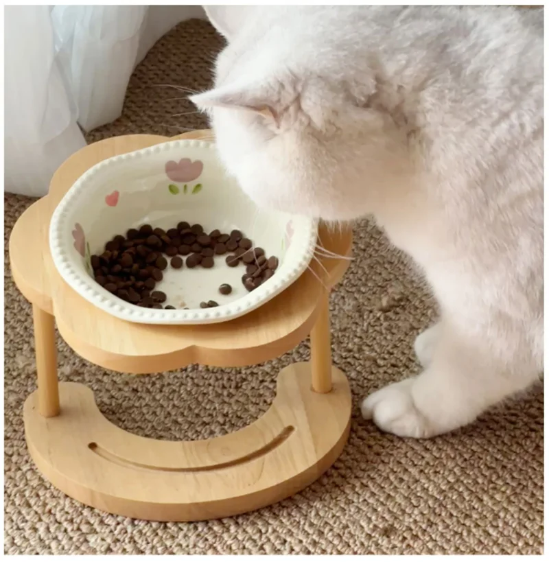 Ceramic Elevated Pet Bowls with Wooden Stand Non-Slip Ergonomic Raised Feeder for Neck Health Cat/Dog Ceramic Bowl
Ceramic Elevated Pet Bowls with Wooden Stand Non-Slip Ergonomic Raised Feeder for Neck Health Cat/Dog Ceramic Bowl